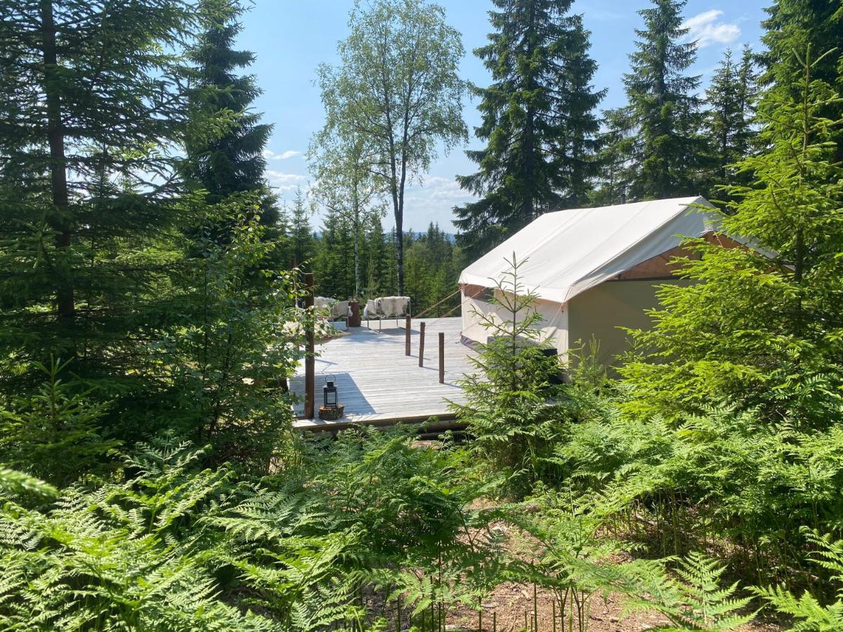 Glamping Tent With Amazing View In The Forest Torsby Exterior foto